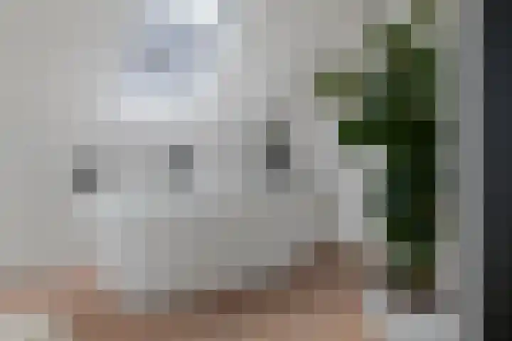 Engelse Werklaan 5 Veenendaal thumbnail 41