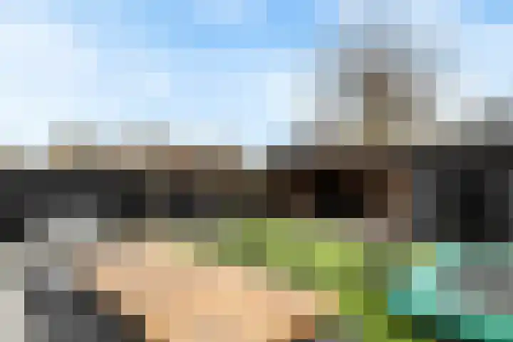 Engelse Werklaan 5 Veenendaal thumbnail 44