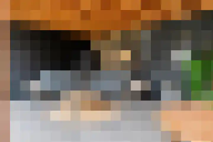 Engelse Werklaan 5 Veenendaal thumbnail 46