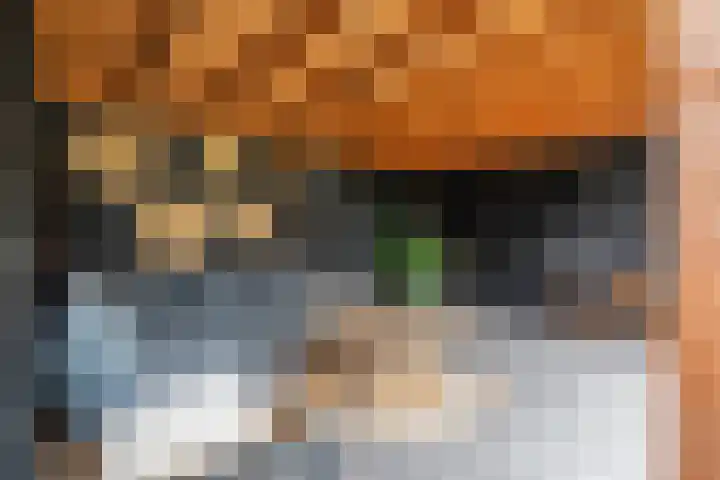 Engelse Werklaan 5 Veenendaal thumbnail 47