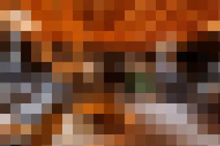 Engelse Werklaan 5 Veenendaal thumbnail 48