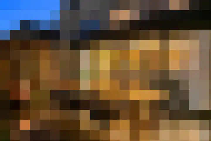 Engelse Werklaan 5 Veenendaal thumbnail 51