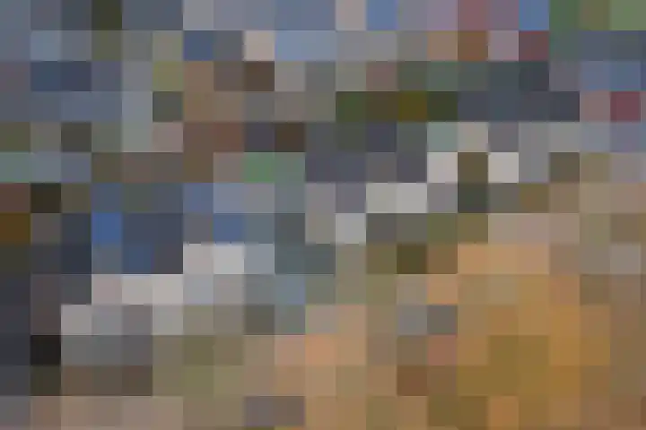 Engelse Werklaan 5 Veenendaal thumbnail 55