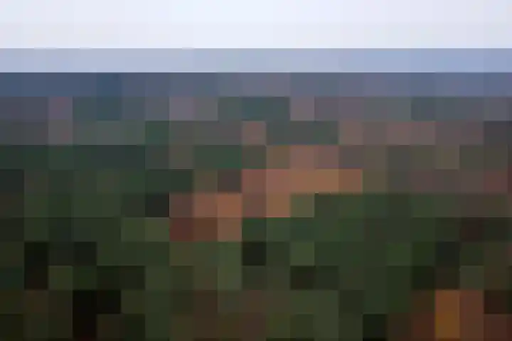 Engelse Werklaan 5 Veenendaal thumbnail 58