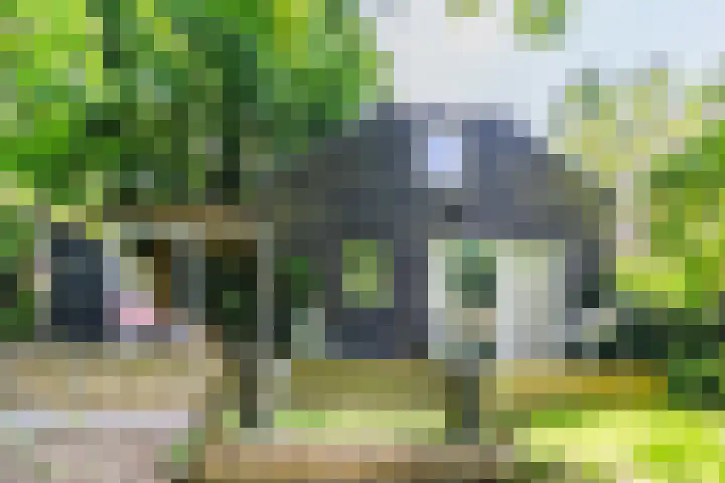 Engelsedijk 5 A 's-Hertogenbosch thumbnail 11