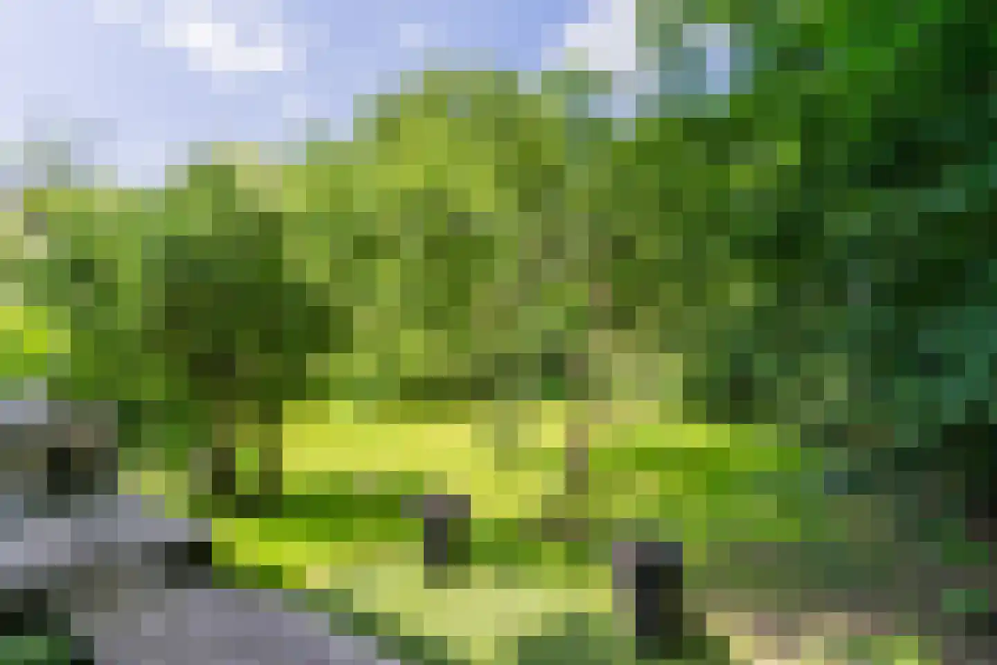 Engelsedijk 5 A 's-Hertogenbosch thumbnail 16