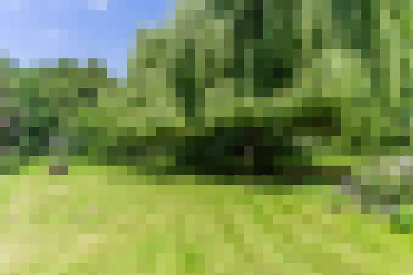 Engelsedijk 5 A 's-Hertogenbosch thumbnail 21