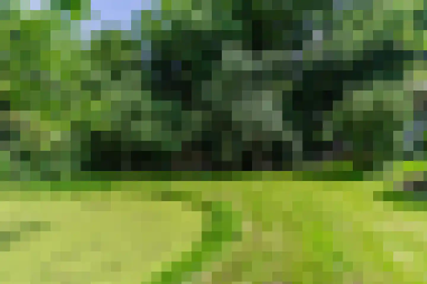 Engelsedijk 5 A 's-Hertogenbosch thumbnail 24
