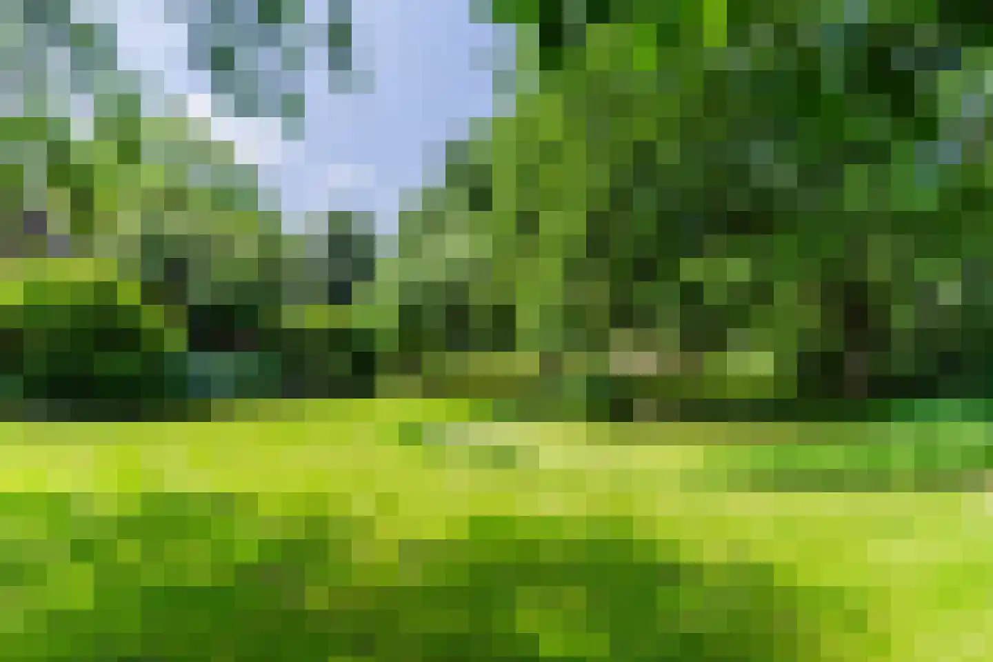 Engelsedijk 5 A 's-Hertogenbosch thumbnail 25