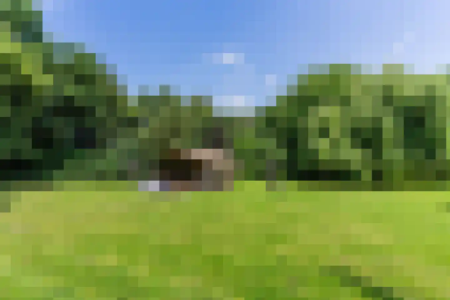 Engelsedijk 5 A 's-Hertogenbosch thumbnail 27