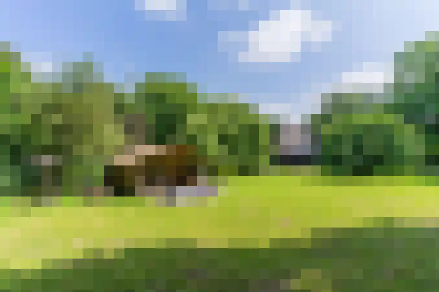 Engelsedijk 5 A 's-Hertogenbosch thumbnail 29