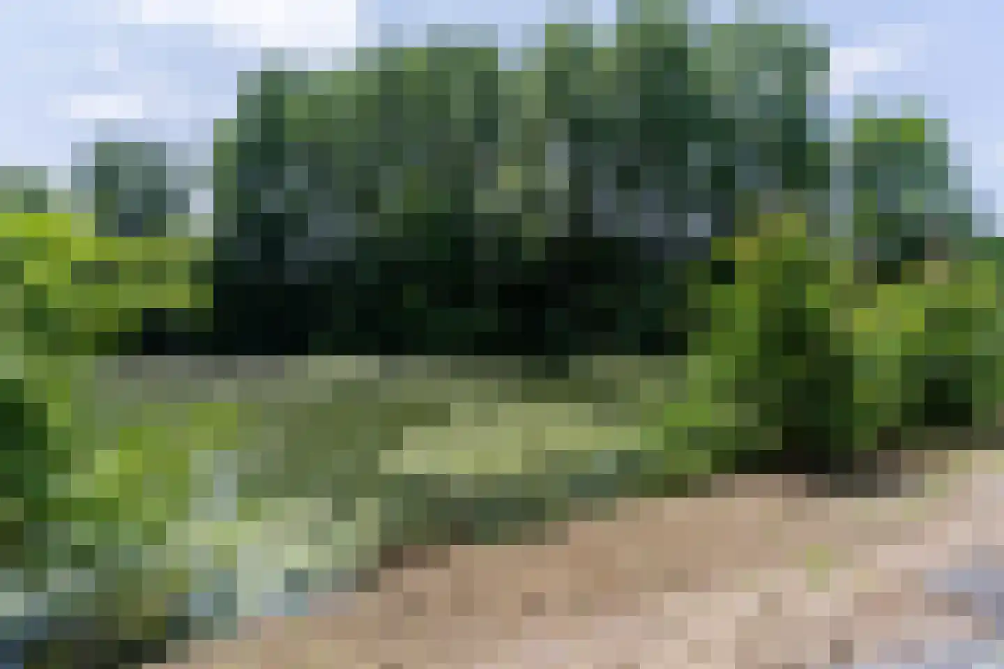 Engelsedijk 5 A 's-Hertogenbosch thumbnail 32