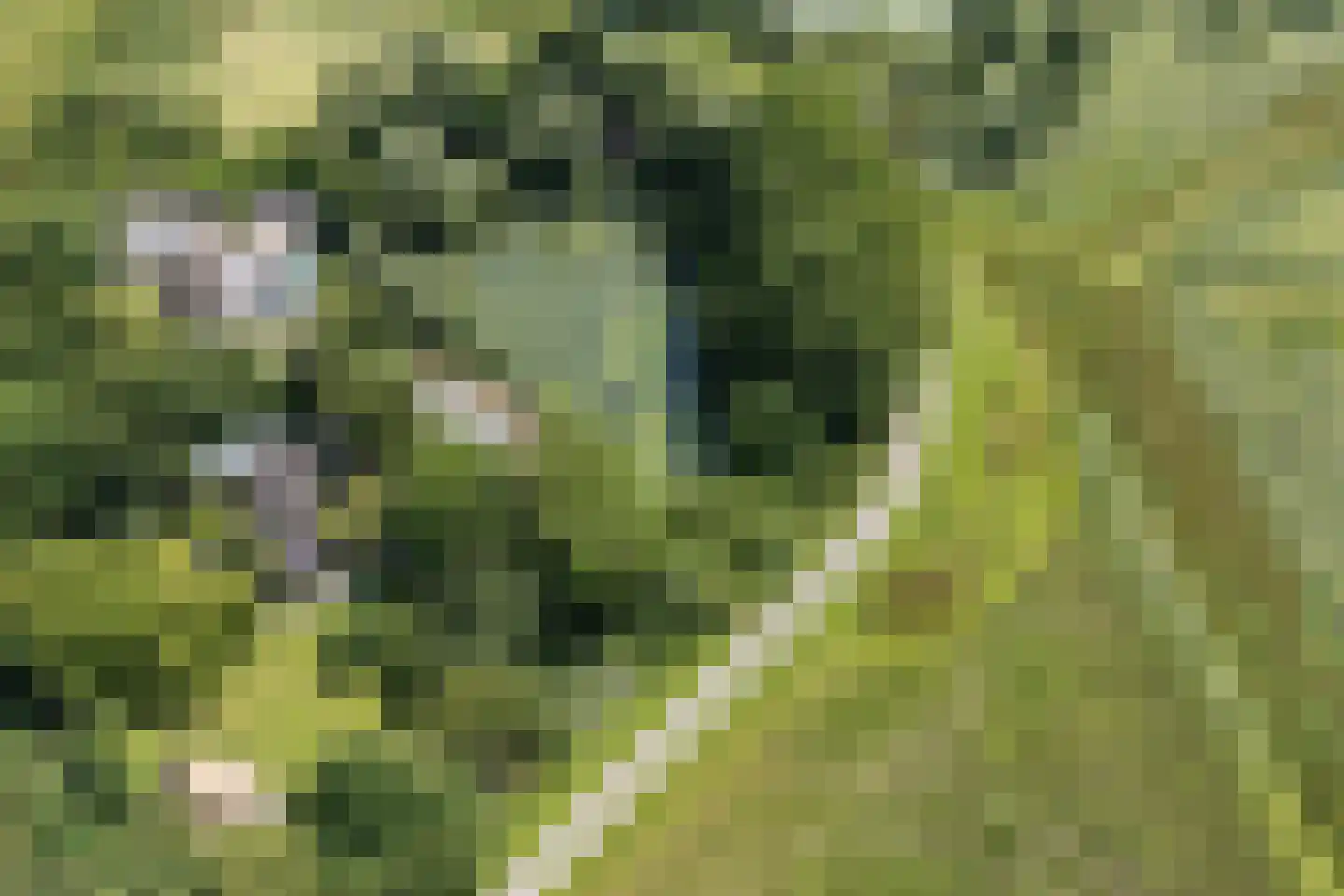 Engelsedijk 5 A 's-Hertogenbosch thumbnail 34