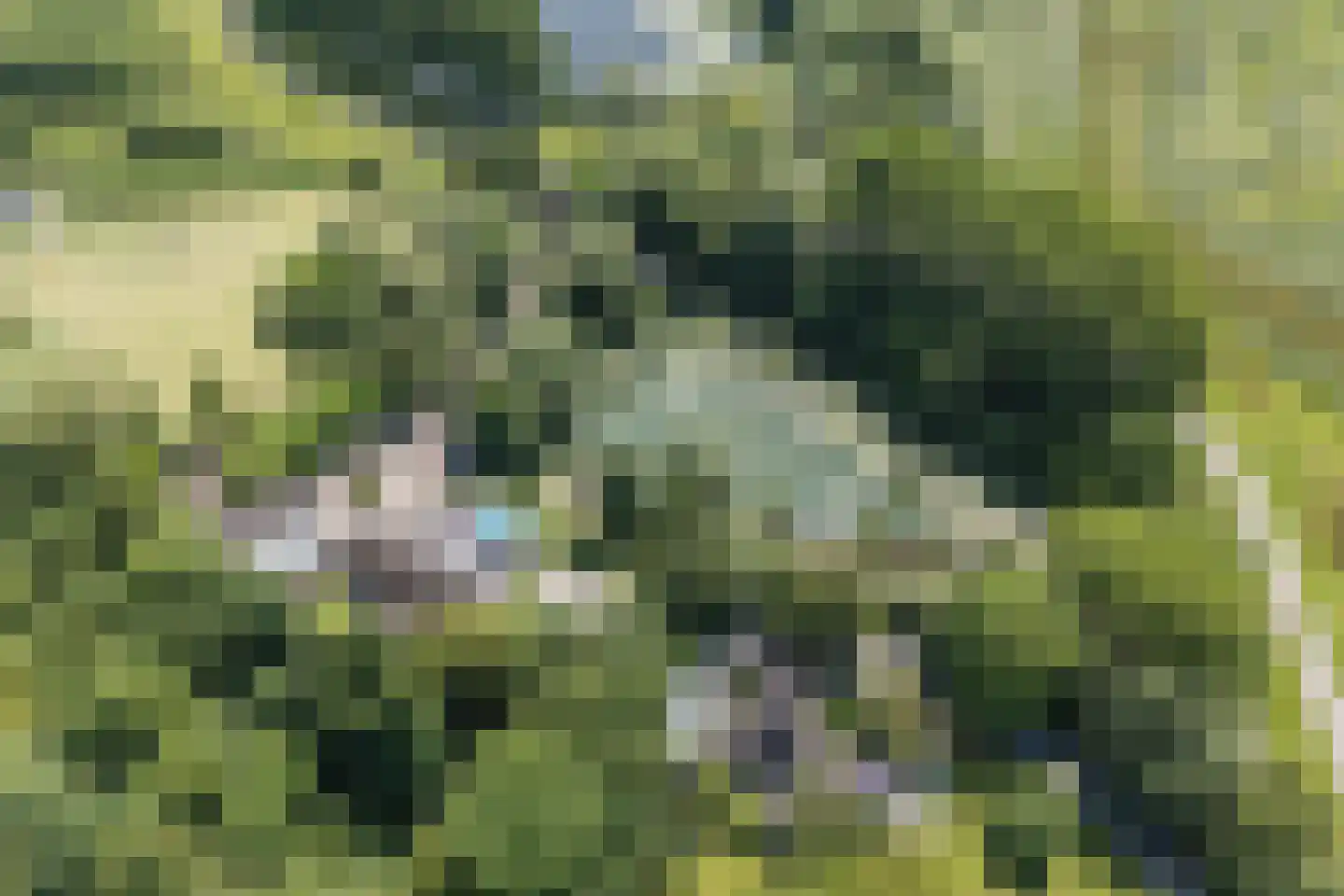 Engelsedijk 5 A 's-Hertogenbosch thumbnail 35
