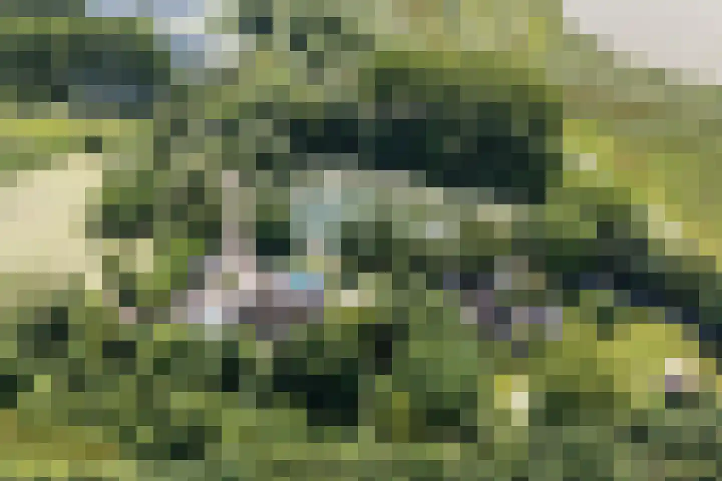 Engelsedijk 5 A 's-Hertogenbosch thumbnail 36