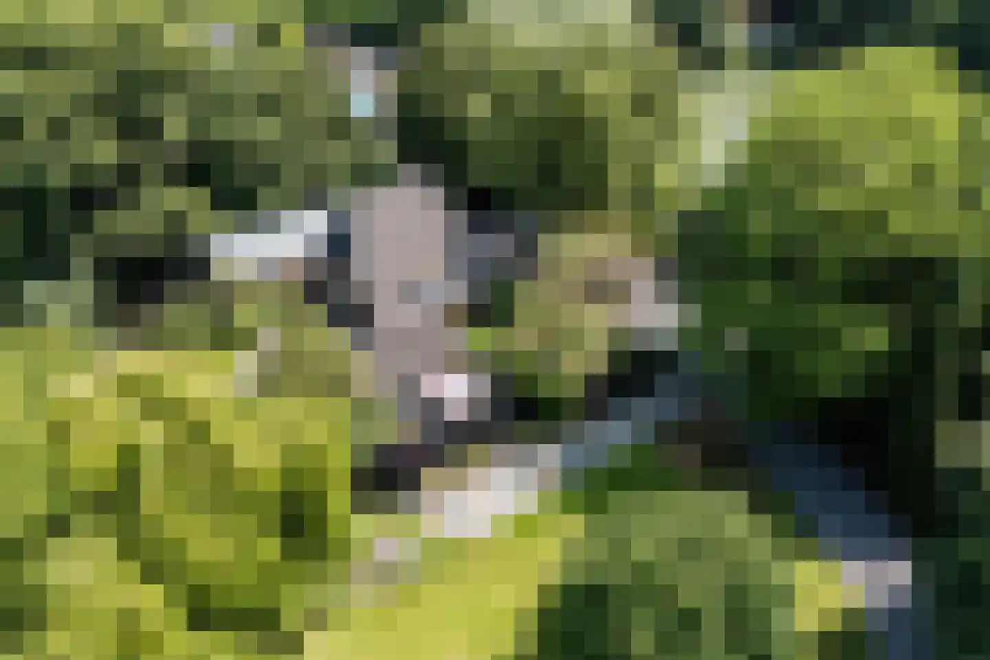 Engelsedijk 5 A 's-Hertogenbosch thumbnail 5
