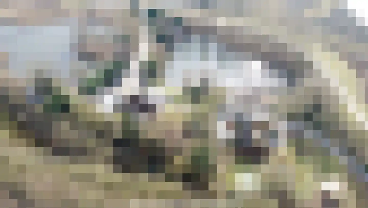 Engelsedijk 5 's-Hertogenbosch thumbnail 5