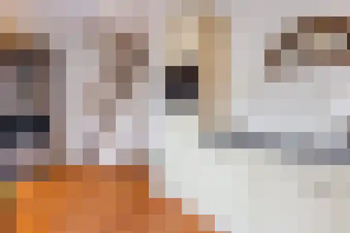 Engelselaan 11 Voorhout thumbnail 13