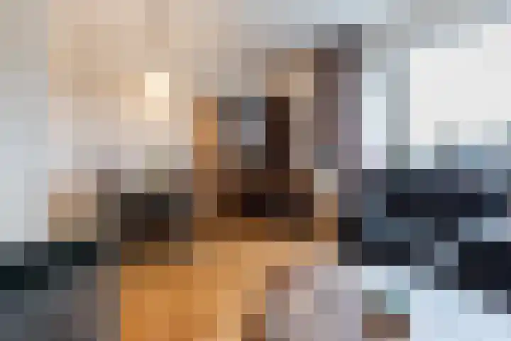 Engelselaan 11 Voorhout thumbnail 18