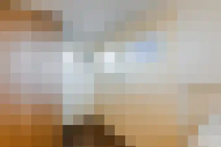Engelselaan 11 Voorhout thumbnail 24