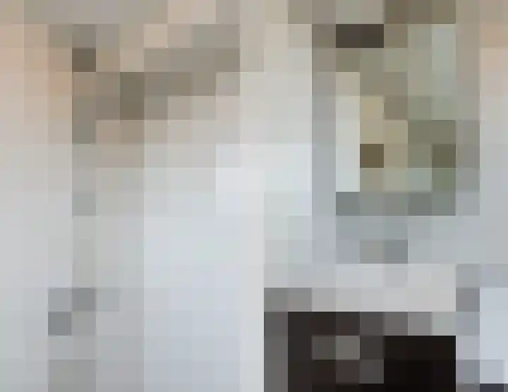 Engelselaan 11 Voorhout thumbnail 33