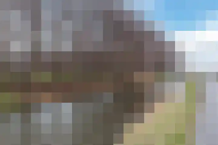 Engelselaan 11 Voorhout thumbnail 42