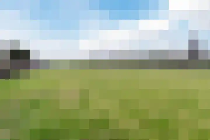 Engelselaan 11 Voorhout thumbnail 43
