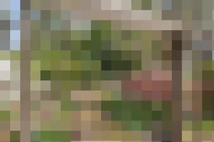 Engelselaan 25 Roosendaal thumbnail 32