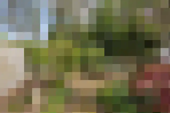 Engelselaan 25 Roosendaal thumbnail 33