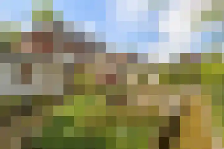 Engelselaan 25 Roosendaal thumbnail 35