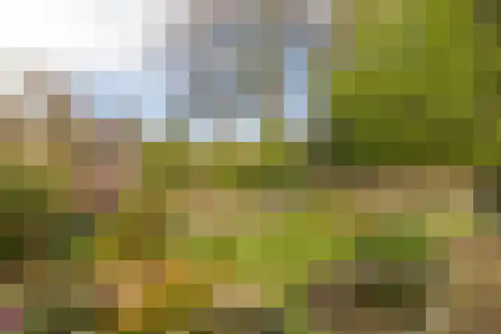 Engelselaan 25 Roosendaal thumbnail 36