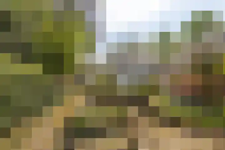 Engelselaan 25 Roosendaal thumbnail 37