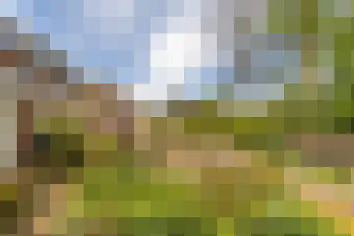 Engelselaan 25 Roosendaal thumbnail 38