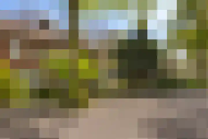 Engelselaan 25 Roosendaal thumbnail 41