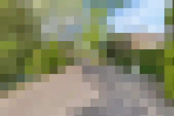 Engelselaan 25 Roosendaal thumbnail 43