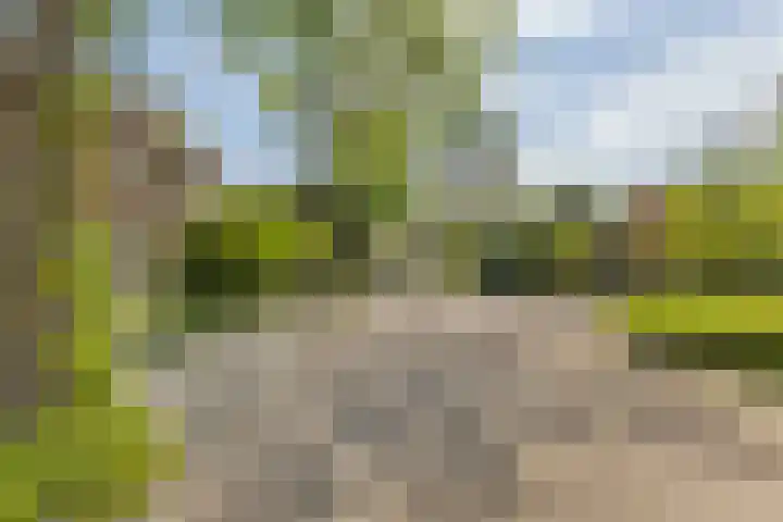 Engelselaan 25 Roosendaal thumbnail 44