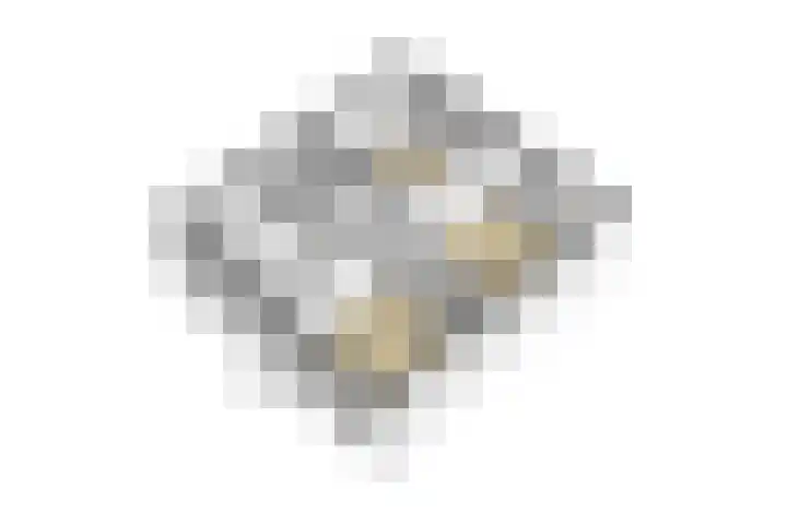 Engelselaan 25 Roosendaal thumbnail 61