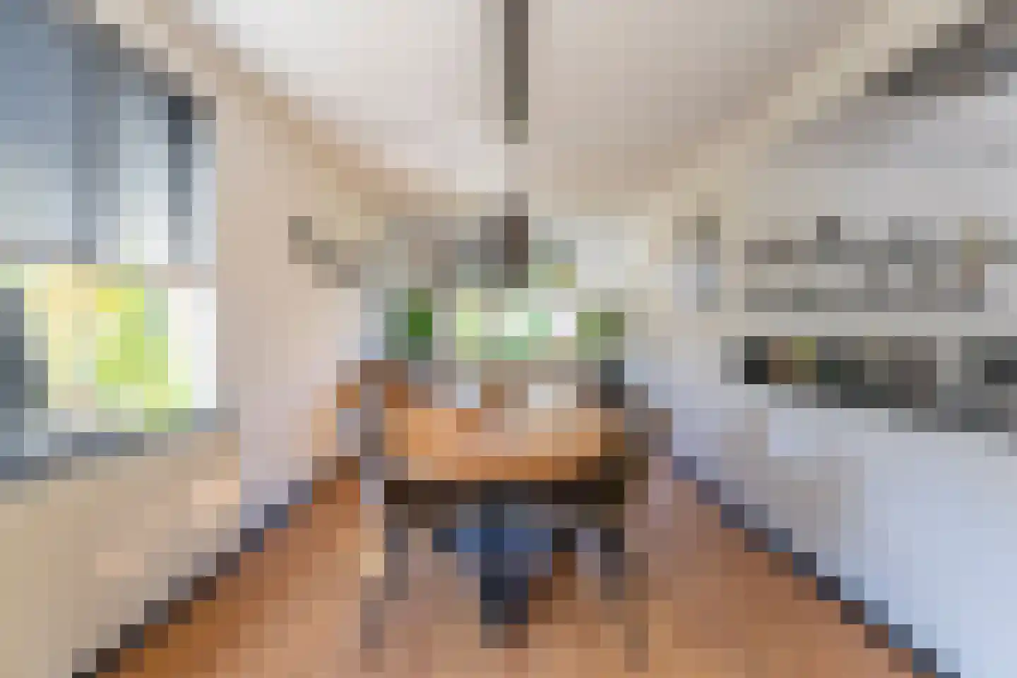Engelselaan 4 Voorhout thumbnail 10