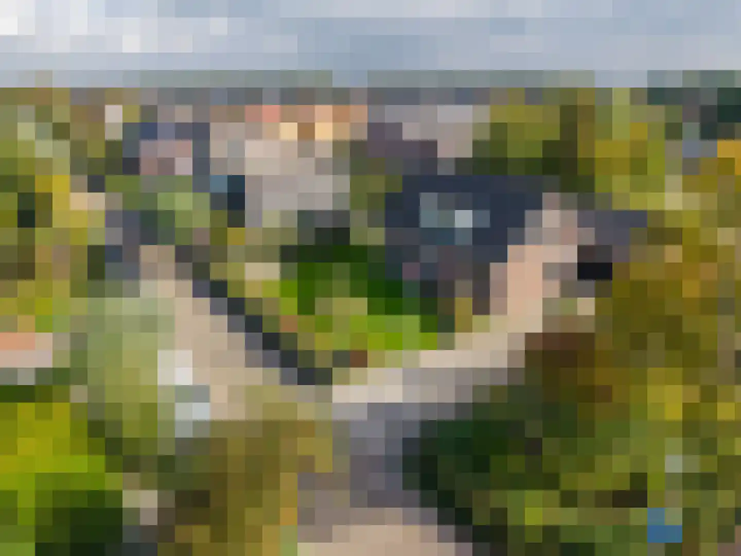 Engelselaan 4 Voorhout thumbnail 52
