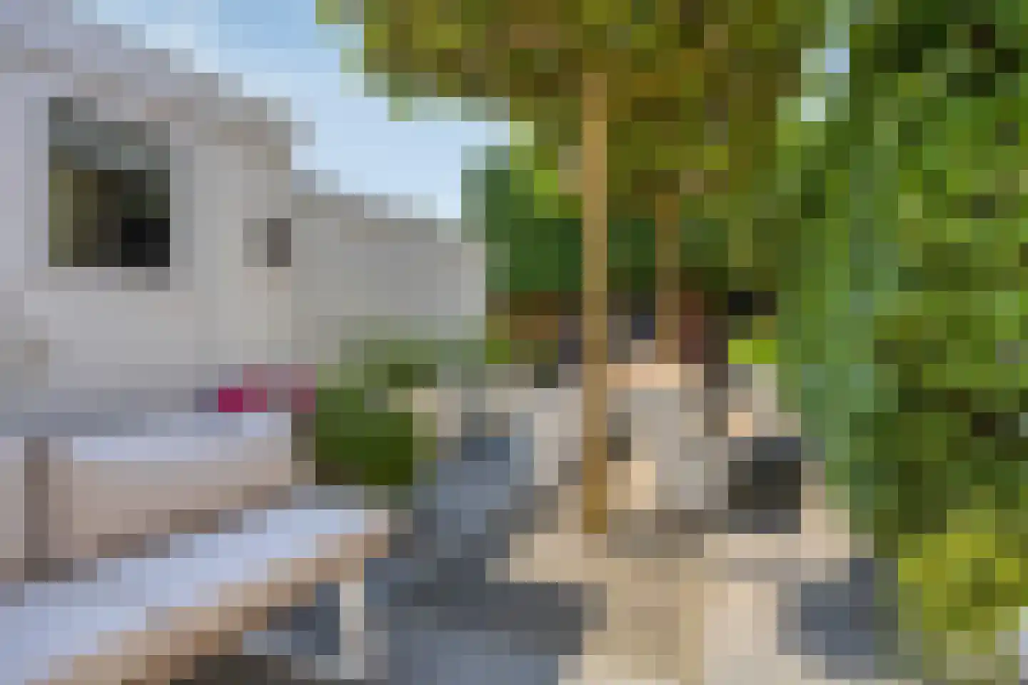Engelseplein 13 Leeuwarden thumbnail 5