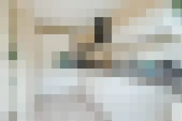 Engelserf 17 Harderwijk thumbnail 11
