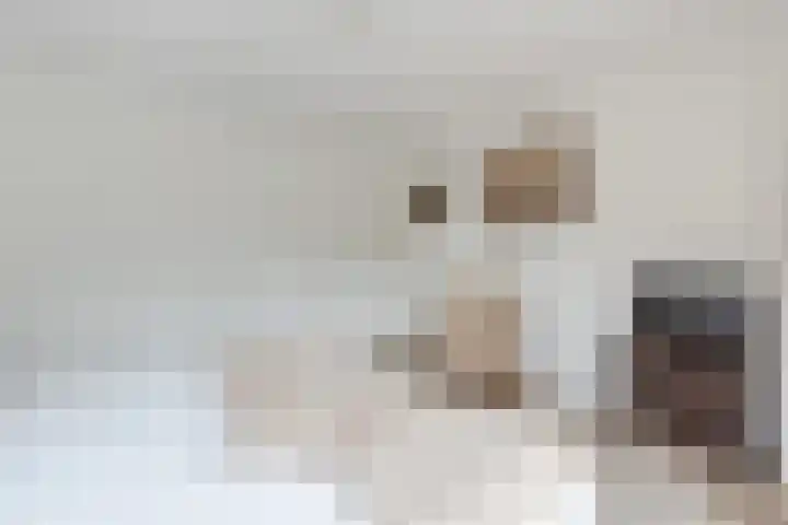 Engelserf 17 Harderwijk thumbnail 18