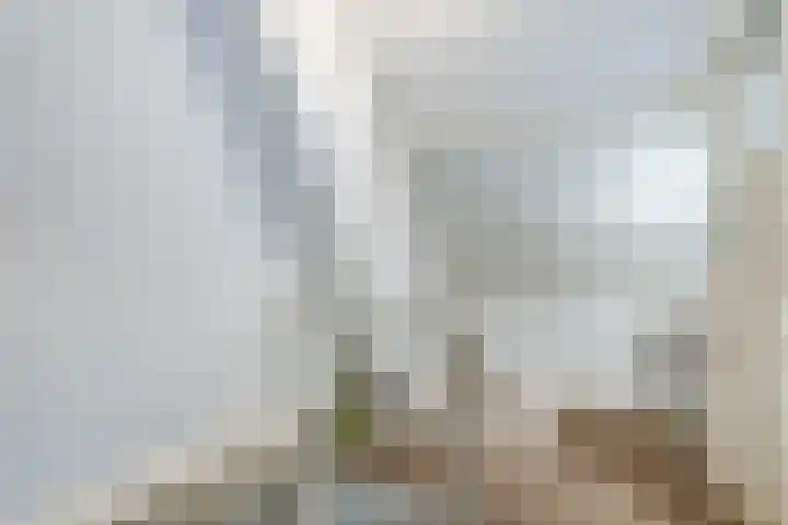 Engelserf 17 Harderwijk thumbnail 28