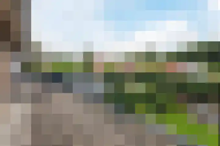 Engelserf 17 Harderwijk thumbnail 33