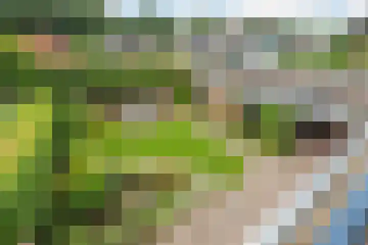 Engelserf 17 Harderwijk thumbnail 34