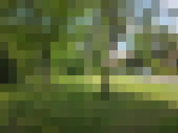 Engelserf 17 Harderwijk thumbnail 49