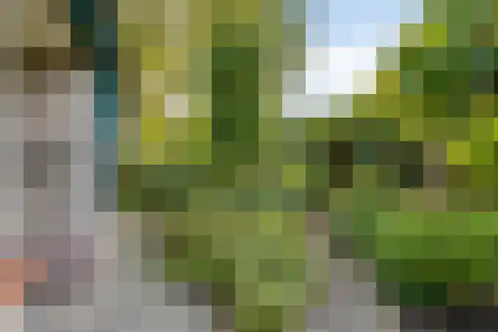Engelserf 6 Harderwijk thumbnail 35