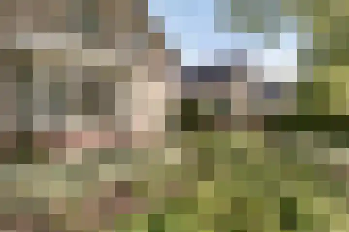 Engelserf 6 Harderwijk thumbnail 38