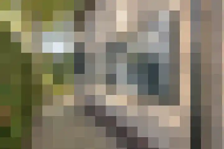 Engelserf 6 Harderwijk thumbnail 39