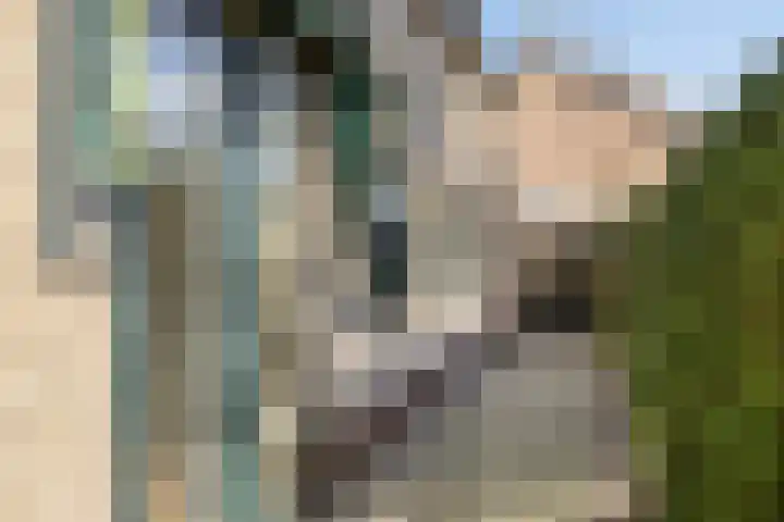 Engelserf 6 Harderwijk thumbnail 40